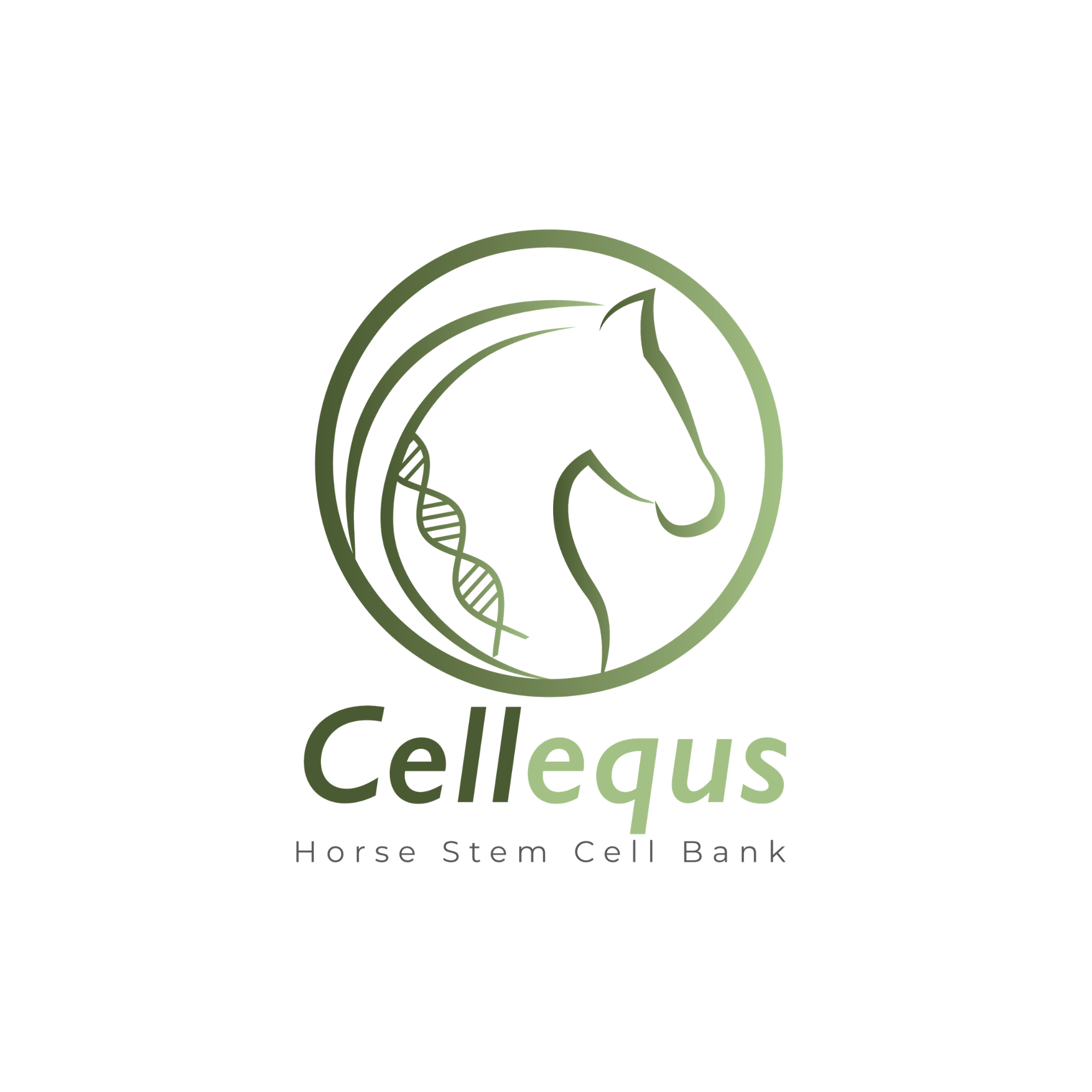 Cellequs