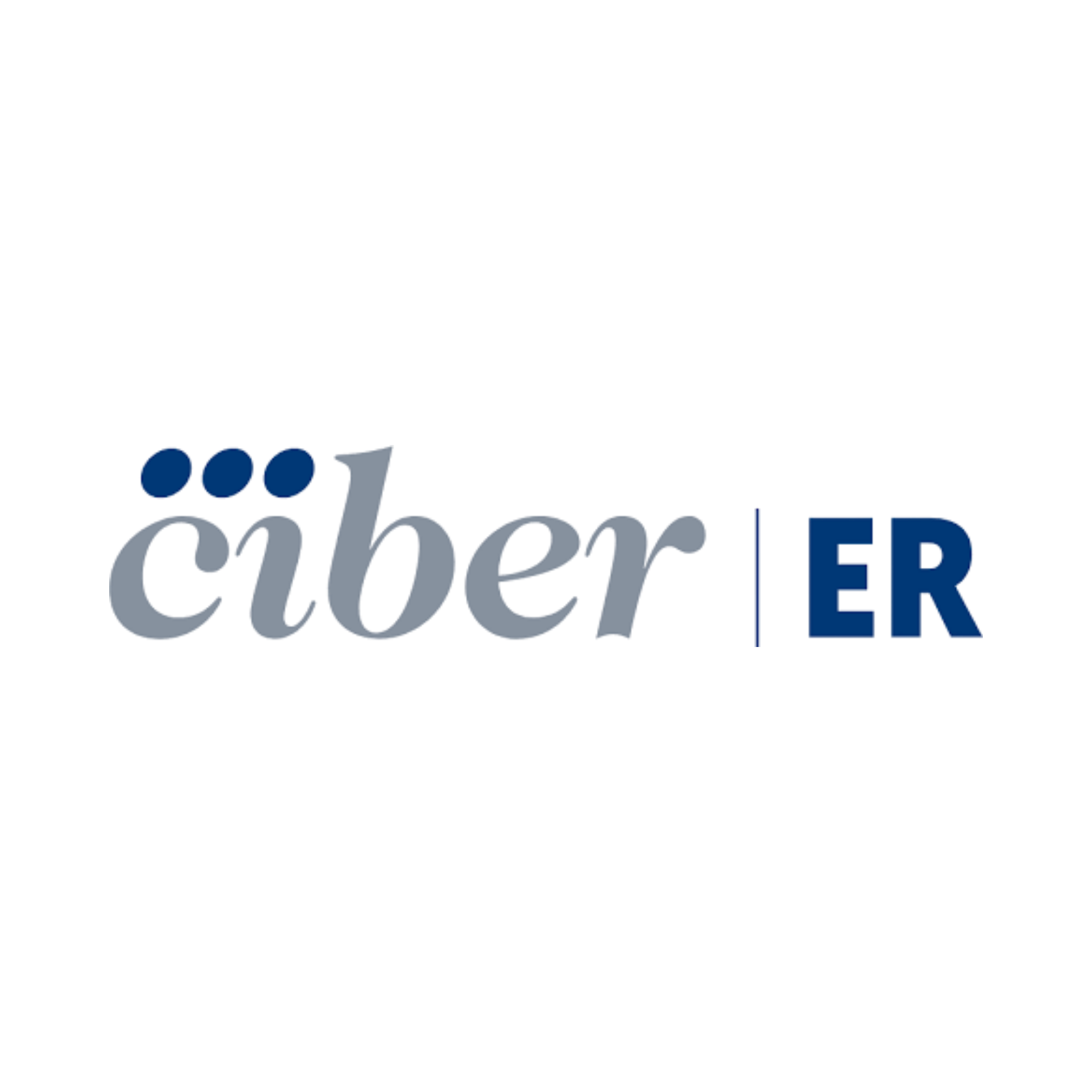 CIBERER