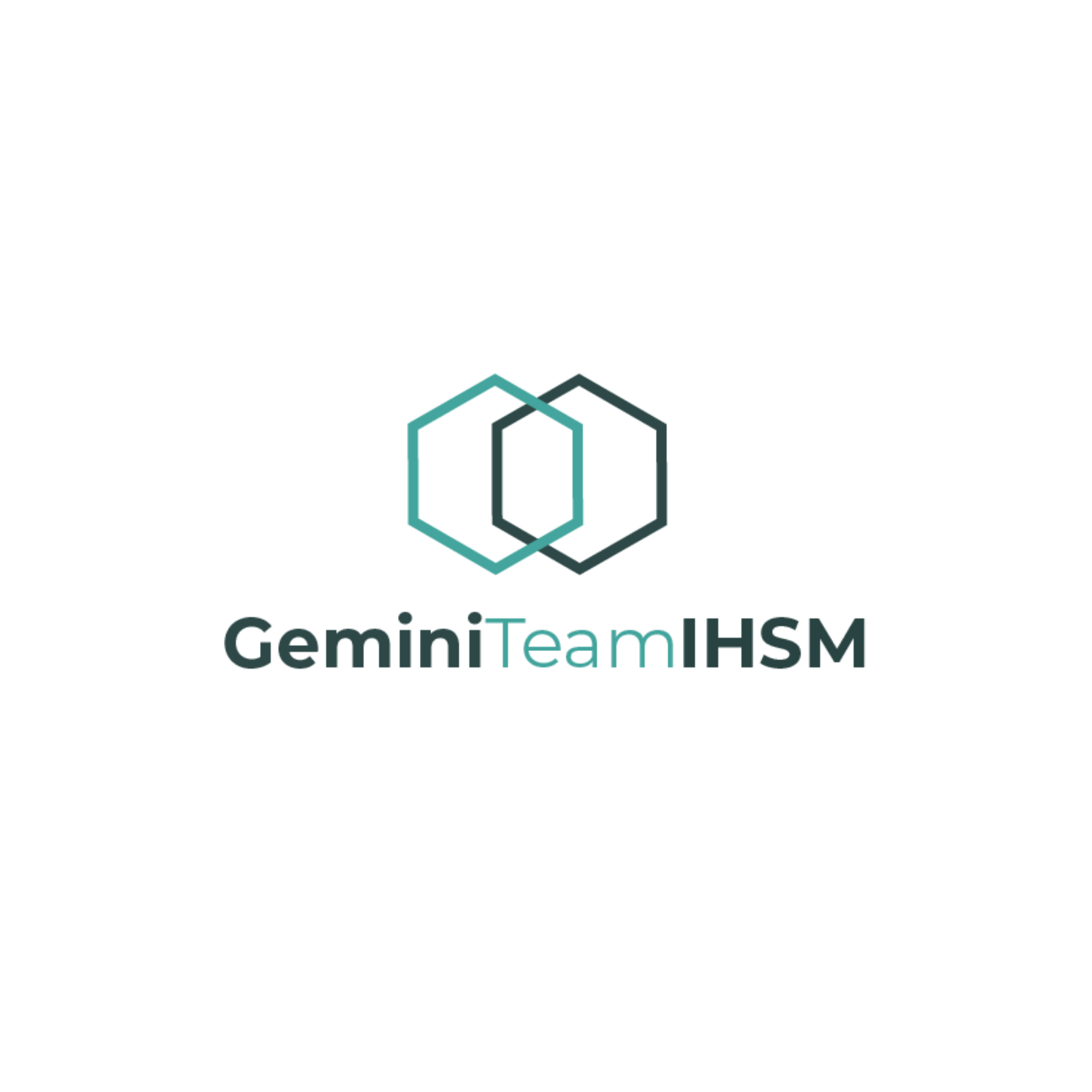 Gemini Team IHSM