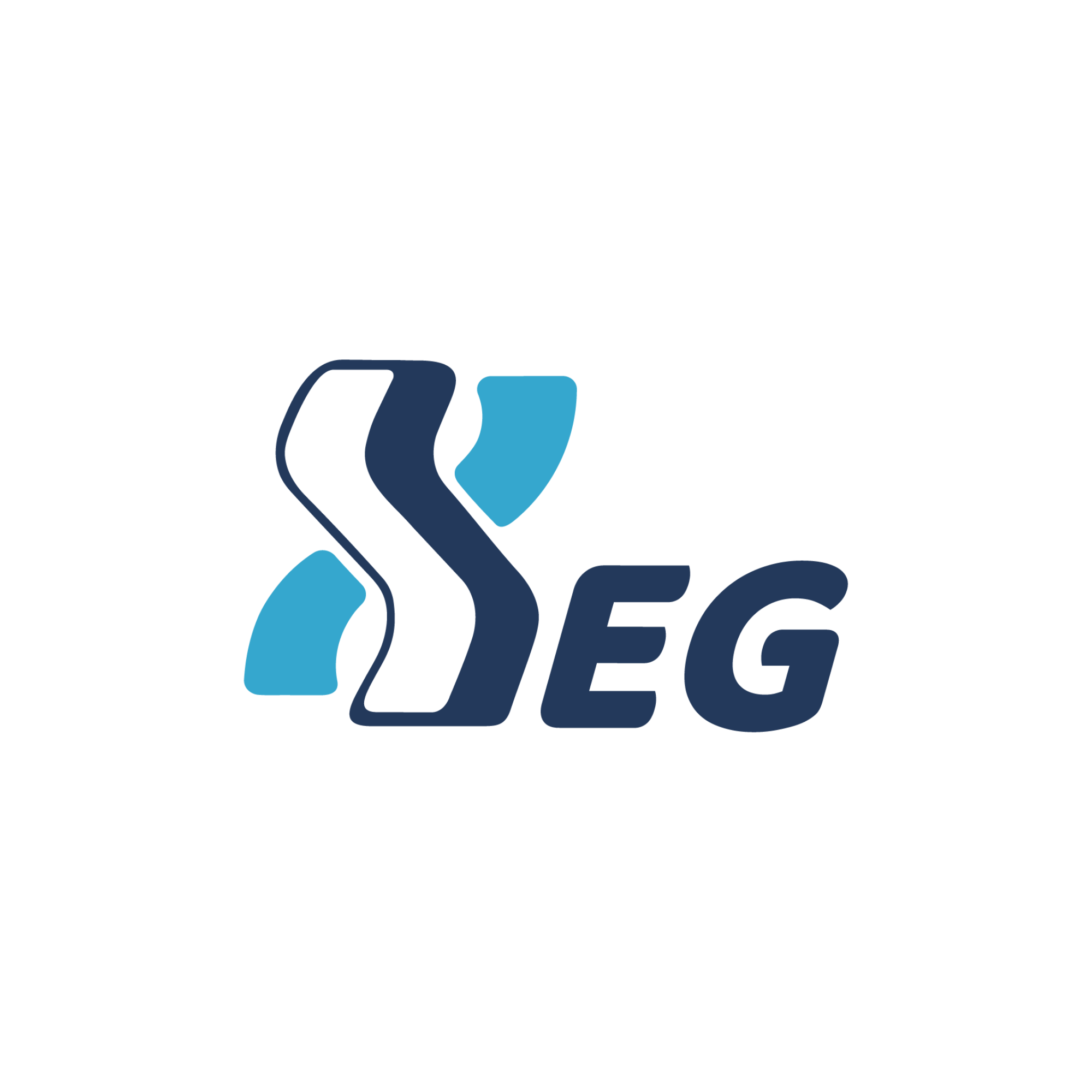 SEG