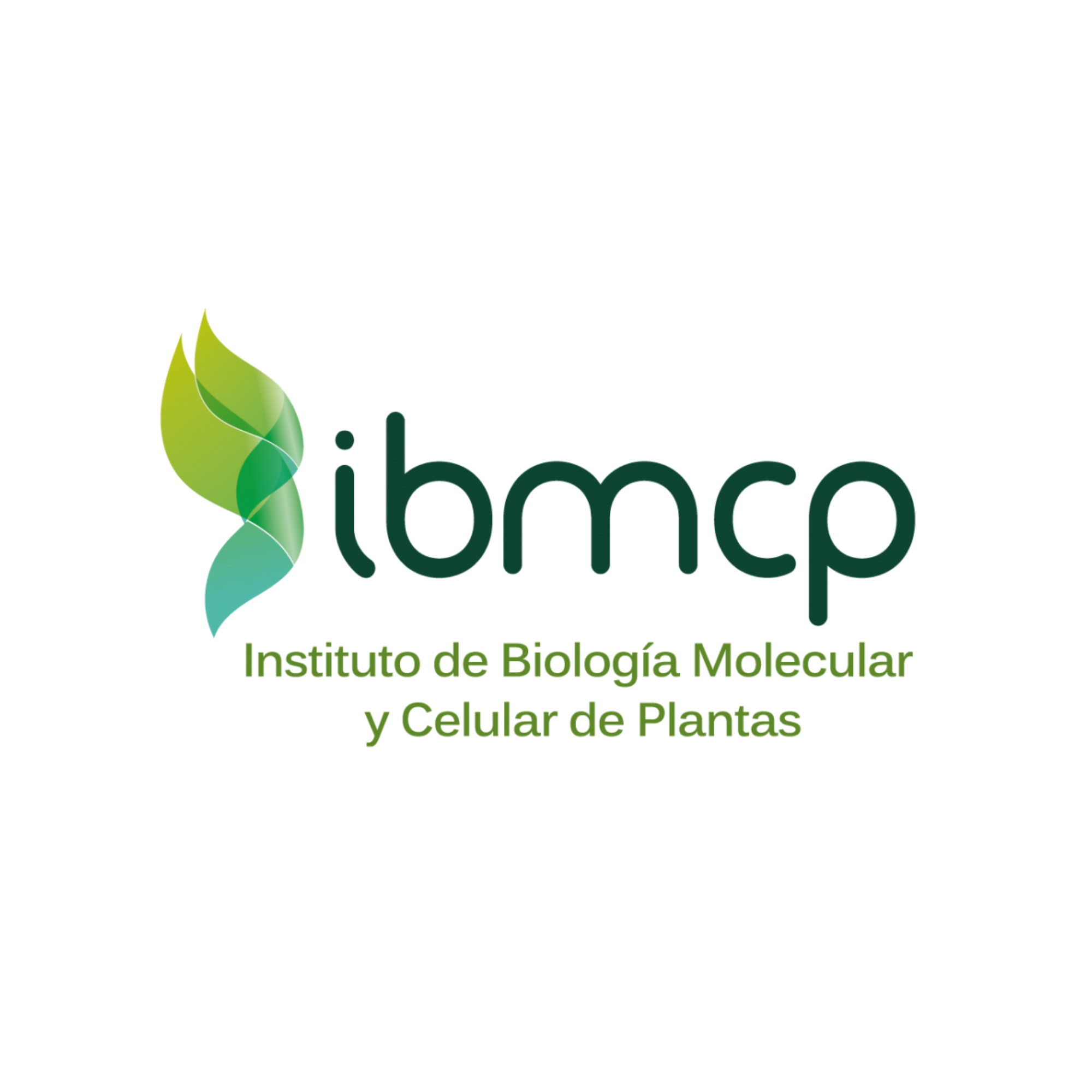 IBMCP